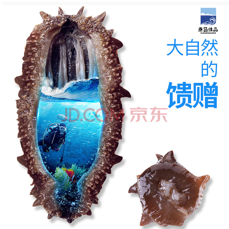 Ôµº¼ÑÆ·º£²Î´¿Ò°Éúº£²Î´óÁ¬ËÙ·¢µ¸Éº£²ÎÌØ¼¶Æ·¸É»õ5ÄêÁɲε¸É´Ì²Î250gº£ÏÊÌØ²ú°üÓÊ 5Ä굸ɺ£²Î 250g