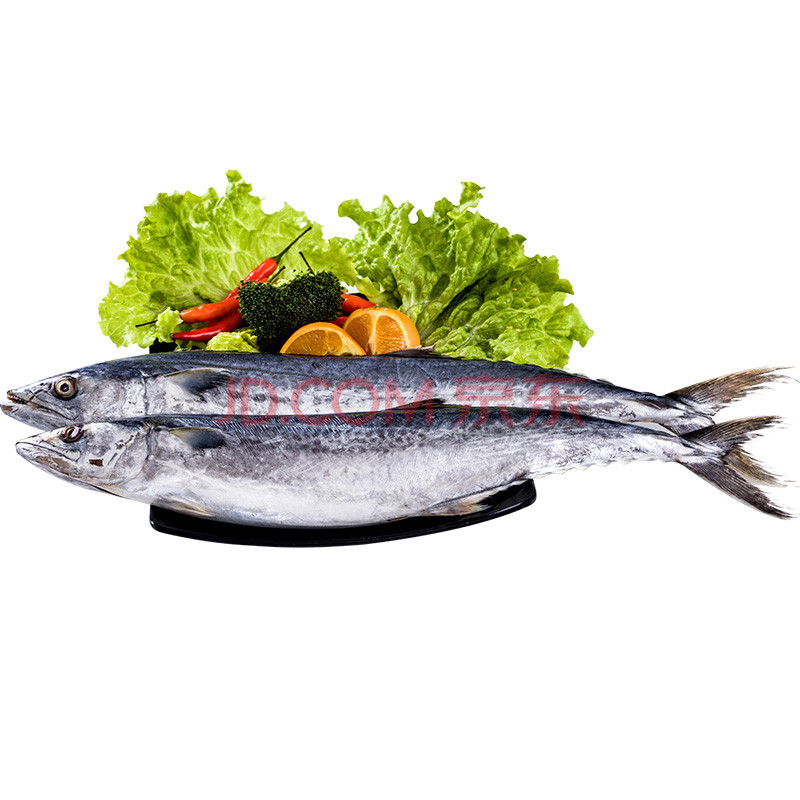öÑÓã ÐÂÏÊ´óöÑÓã ÑàöÑÓã ÂíöÞÓã ÇൺÉ º£ÏÊË®²ú ˳·á 1ÌõÔ¼4-4.5kg