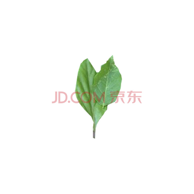 ÒËͳɽ¹û ÐÂÏÊÒ°²Ë¹ÛÒô¶¹¸¯Ò¶°ßð¯Ò¶ 500g