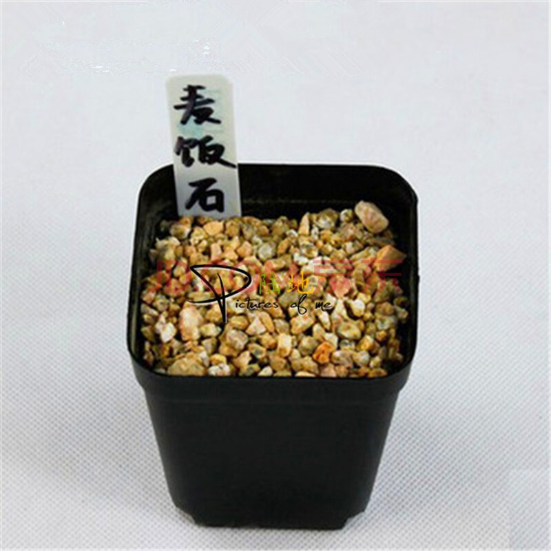 赤玉土和鹿沼土的区别-多肉灯泡,赤玉土 二本线