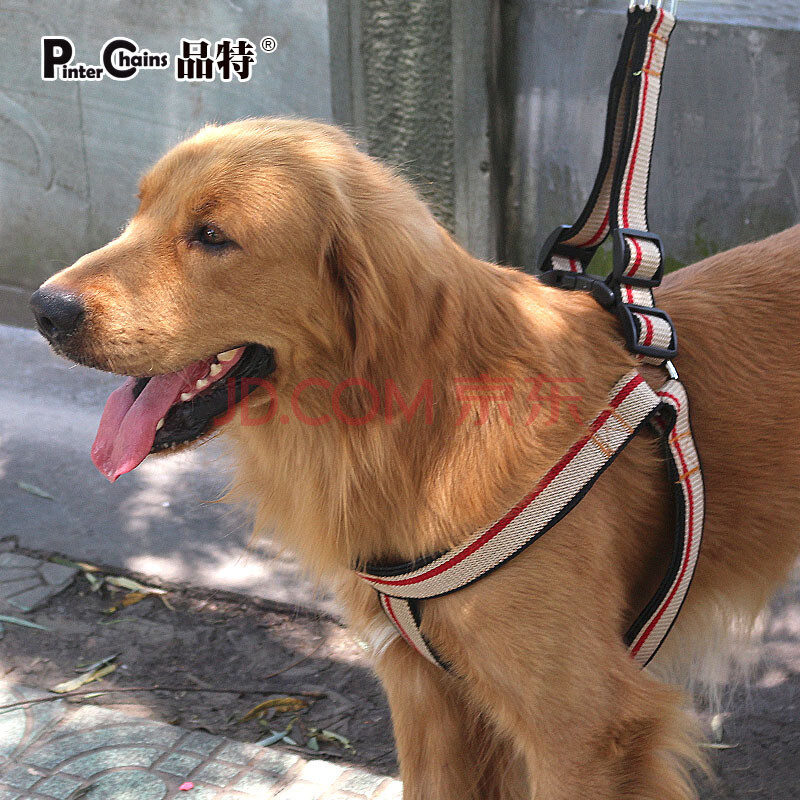 嗨派特 棉带狗绳 狗链子 狗狗胸背套 大中型犬牵引带牵引绳q60 黄色