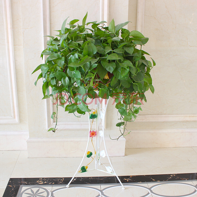 【欧式铁艺花架子 室内客厅墙上墙壁壁挂花盆