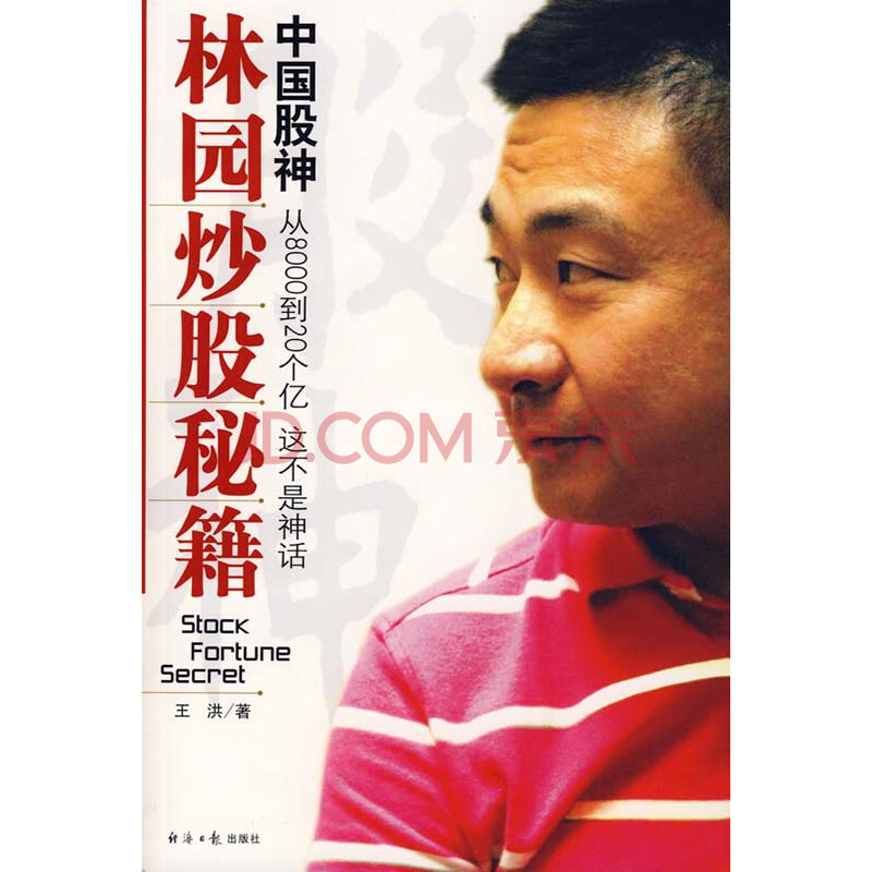 中国股神林园炒股秘籍 经济日报出版社 王洪 著