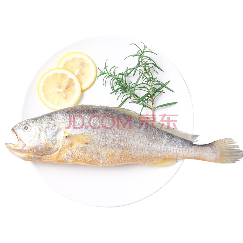 簡單滋味 冷凍東海深海黃花魚 黃魚 400g 1條裝 袋裝 自營海鮮水產