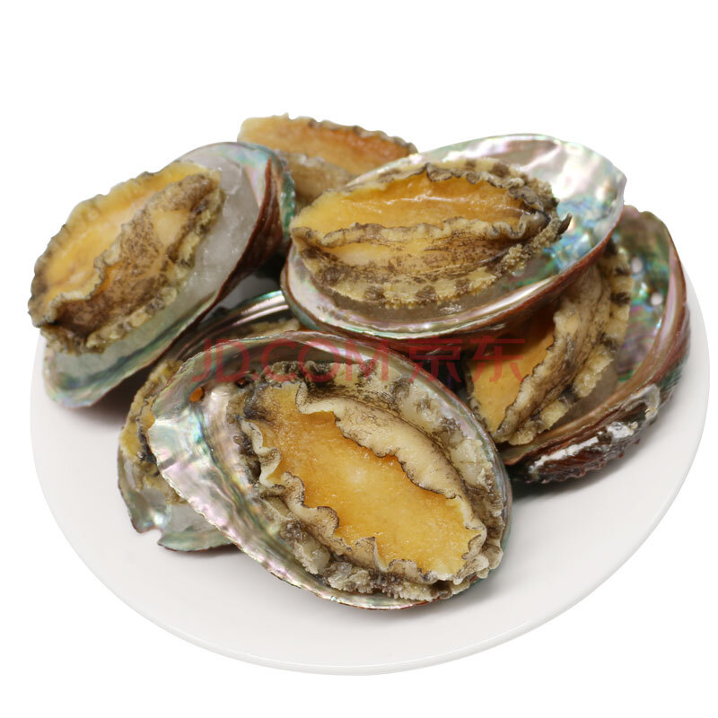 聚福鮮 熟凍深海鮑魚 火鍋食材 帶冰500克 8只裝 1袋