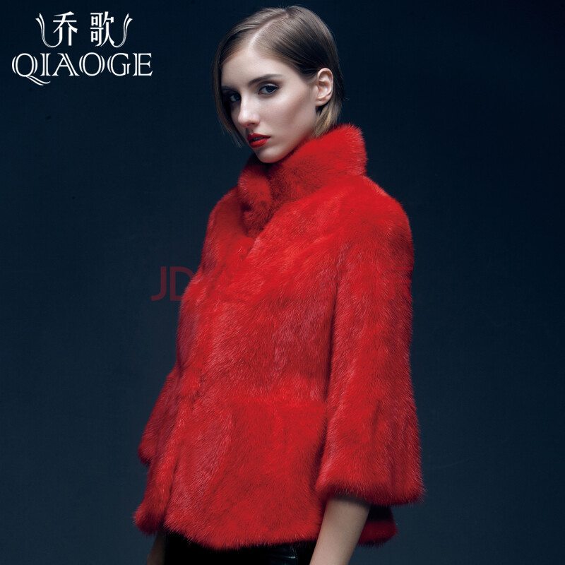 进口小母貂立领短款天牌子品质好 新款好用