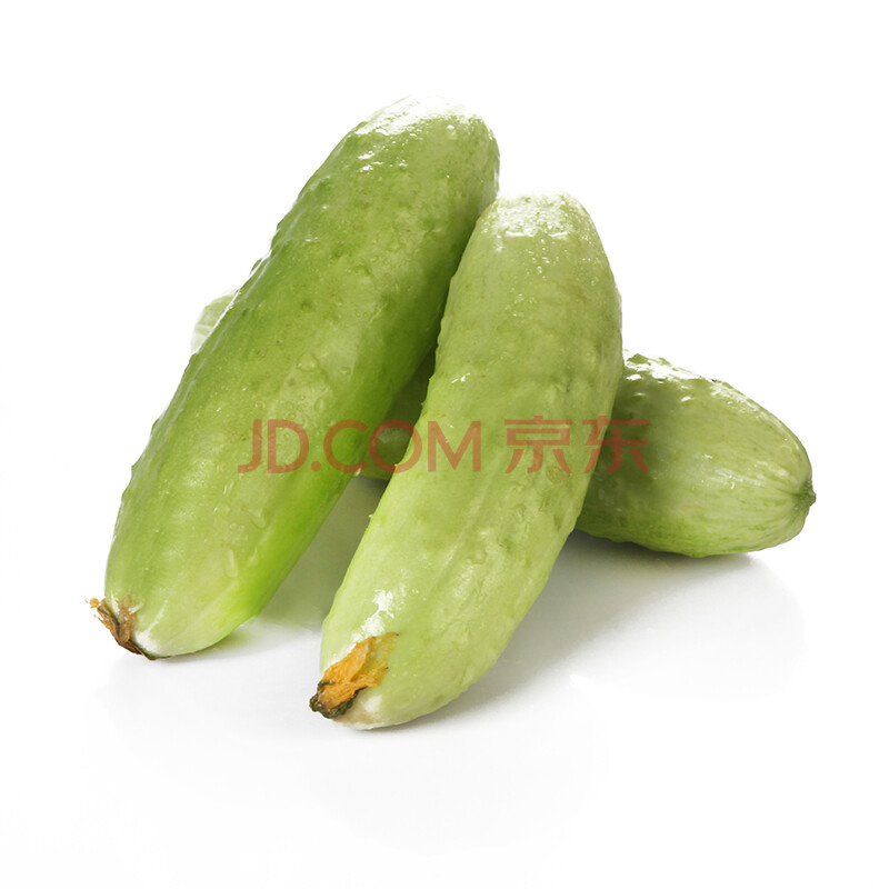 ѰÌì¹ûÊß ±±¾©ÃÜÔÆ±¾µØ7´ç»Æ¹Ï ÐÂÏÊÊß²Ë 500g