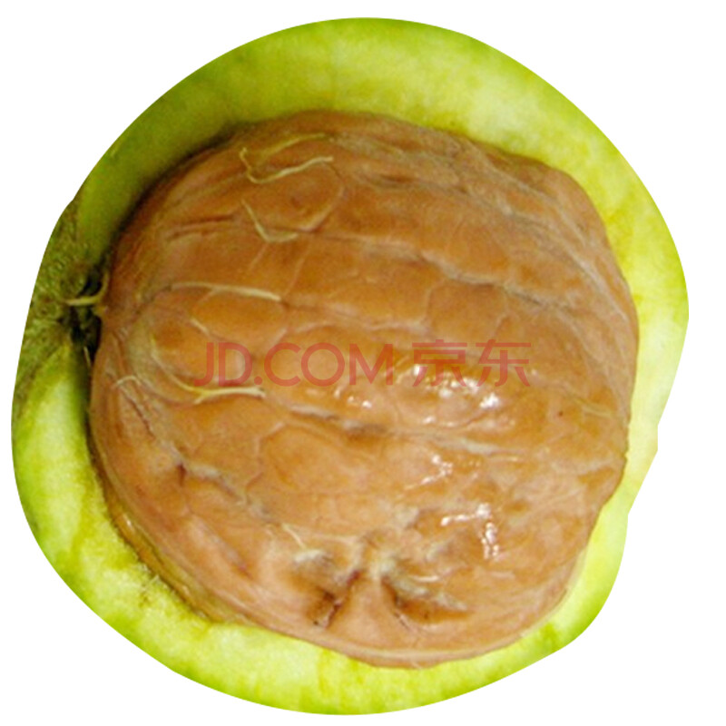 ÏÖ»õ£¡ÏÖ»õ£¡ ÉÂÎ÷ÐÂÏÊʪºËÌÒ ÇàÆ¤ºËÌÒ ÇàÆ¤ºËÌÒ5kg Ë͹¤¾ß