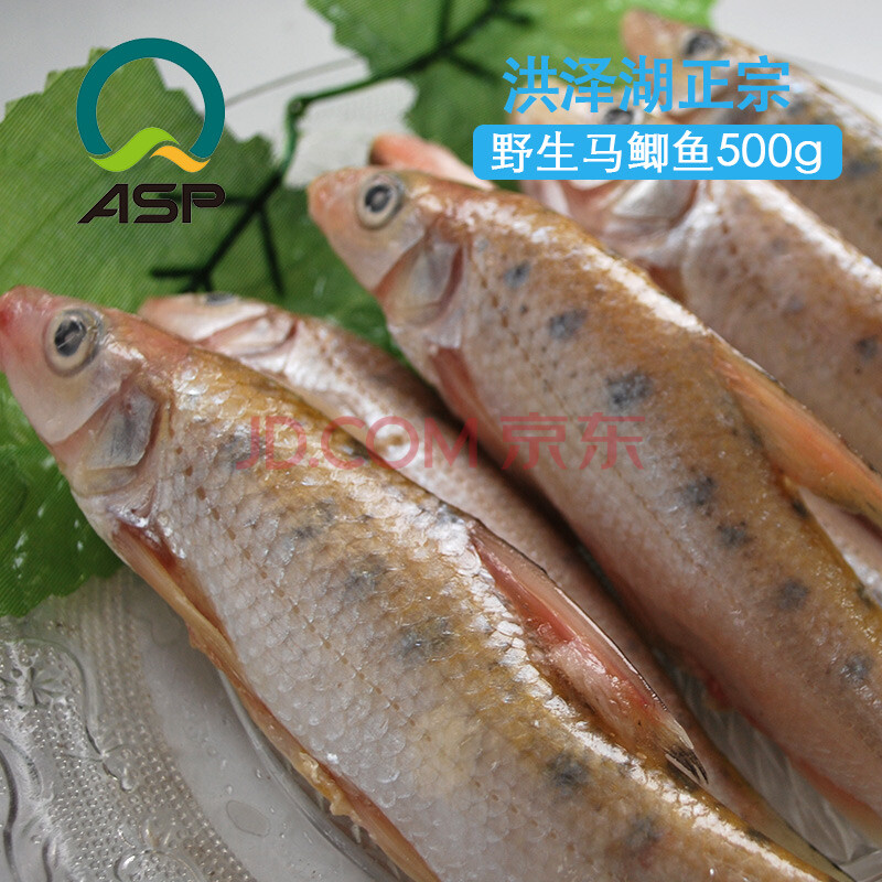 爱食派海鲜马鲫鱼 肉质鲜美优质水产健康美味马鲫鱼500g洪泽湖野生
