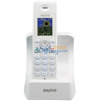 三洋（SANYO）2.4G数字电话彩屏系列系列DA670白
