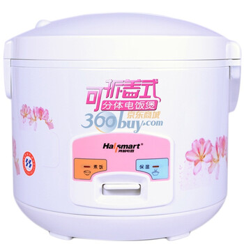 鸿智（hallsmart） HR-YB41 4L 印花可拆盖电饭煲