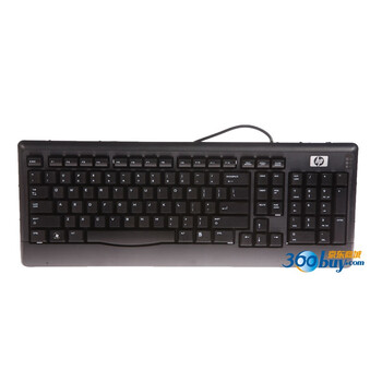 惠普（hp）KE317PA#AB2 黑豹标准键盘（带1个USB扩展接口)