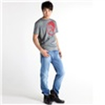 DIESEL 迪赛 男士圆领T恤 人头logo款 zn 80340965847XX款 青灰色 L