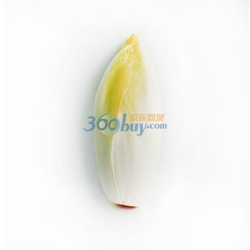 【沱沱工社】维乐夫金玉兰(3枚/盒)菊苣降糖降脂;来自欧美的果蔬王子