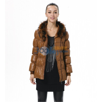 波司登 2011新款 羽绒服 女亮面修身毛领时尚短款 BR2258 黄色 180/100A(XXL)