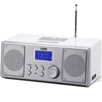 耳神（EARSON）ER820F 无线WIFI网络音箱 自动搜索播放网络电台 可插Ipod Iphone 带遥控 带闹钟