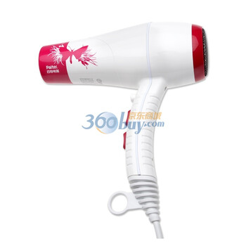 百特PAITER 专业大功率吹风机 家用电吹风 HD9900