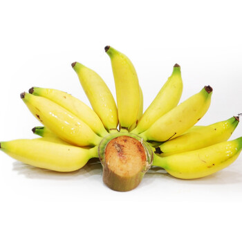 皇帝蕉1kg装 小米蕉 帝王蕉 香蕉 【图片 价格 品牌 报价】