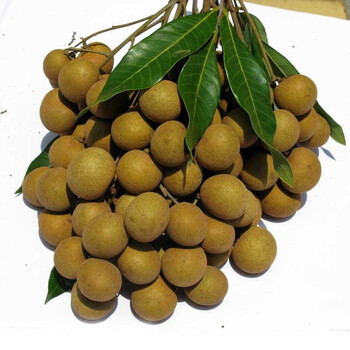 泰国龙眼(净重约4kg)进口新鲜水果