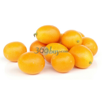 广西桂林特级金桔（净重约2.5kg）果大 金钱桔 桔子 橘子 新鲜水果