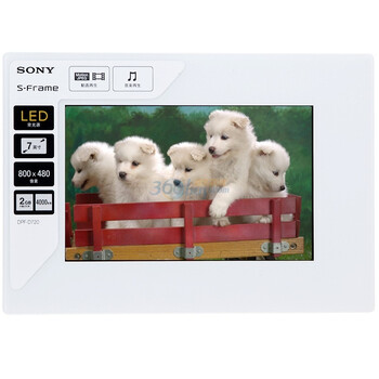 SONY 索尼 DPF-D720  数码相框 （2G 白色）