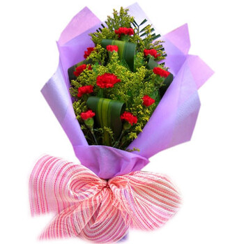 鲜花速递 教师节送花 送长辈11枝康乃馨 想念 