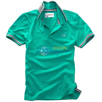 Giordano佐丹奴BSX Polo 男动感炫彩MINI CHE运动POLO 04011300 浅绿色 L