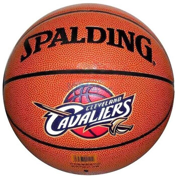 Spalding斯伯丁NBA骑士队徽篮球74-083