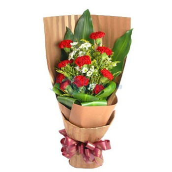 母亲节鲜花速递 教师节送老师 感恩节9枝红色