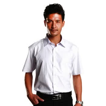 Hodo红豆衬衫 2012春装新款男士商务休闲短袖衬衫格子衬衣62401 浅紫 44