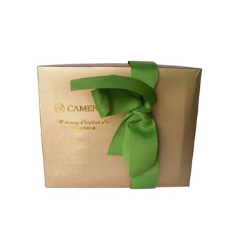 Camenae/嘉媚乐 春日美白防晒礼盒
