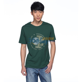 IZOD 丛林绿春季新款LOGO印花男士圆领百搭纯棉短袖T恤衫|3121914211509 绿色系 XXL(185/102A)