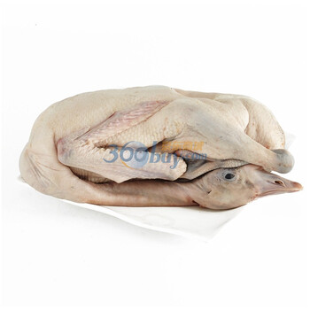 【原膳】清远黑鬃鹅 （上海）（3000g/只）
