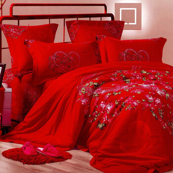 则天家纺.纯棉印花双人床上用品四件套 全棉韩