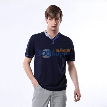 蓝冰 2012夏装男式针织V领商务短袖T恤 ^@^BAA0901 深藏蓝 185/104A(XXL)