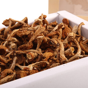 林彦达有机滑子蘑200g【价格 报价 正品 评价】