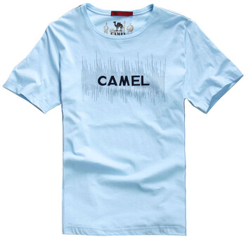 CAMEL/骆驼 2012新款春夏休闲纯棉短袖情侣装t恤男装 017305 蓝色 XXL