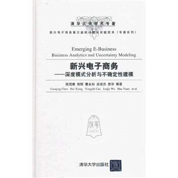 新兴电子商务-深度模式分析与不确定性建模