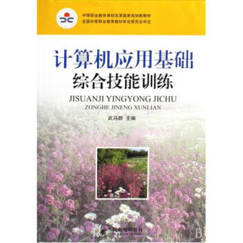 计算机应用基础综合技能训练中等职业教育课程
