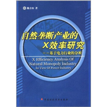 自然垄断产业的X效率研究:基于电力行业的分析
