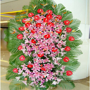 浩情 开业花篮预定 乔迁开张庆典庆贺花篮 同城