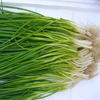 津沽园艺 蔬菜种子 香葱种子 小葱种子 上海小香