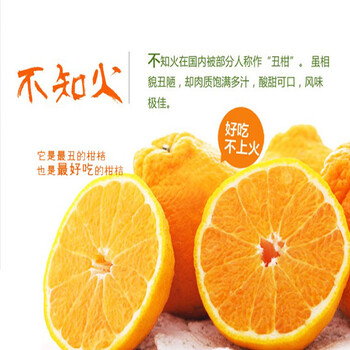 现货 新鲜水果 四川丑柑 不知火 柑橘 无农药 原