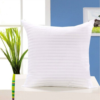 青苇 抱枕 靠垫芯 2个装 45*45cm 实用型