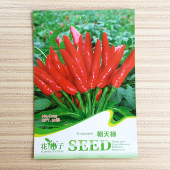 辣椒种子 花仙子园艺蔬菜种子 朝天椒种子家庭