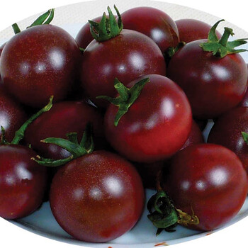 蔬菜种子 黑番茄种子 蔬菜水果种子 黑珍珠 黑美