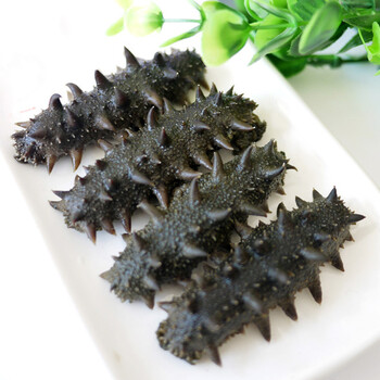 【】百盛园丁财运来 原生态半干海参礼盒 野生