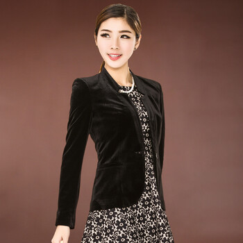 品尚衣然2013秋冬新款金丝绒短外套 休闲小西装 女丝绒小西服by352505