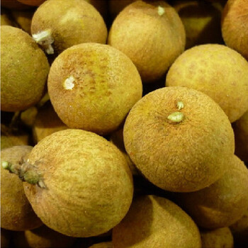 果360 泰国进口新鲜 龙眼桂圆 水果 4斤 京津冀