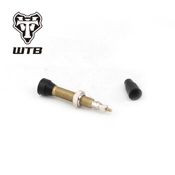 WTB TCS无内胎兼容系统真空外胎专用气嘴山